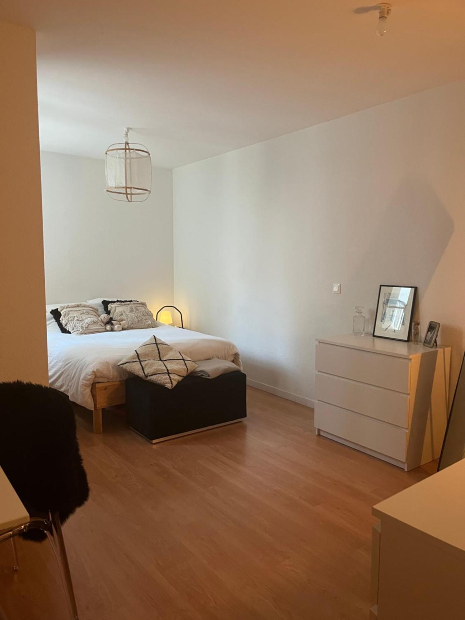 Joli Appartement Au Coeur De Страсбург Екстер'єр фото