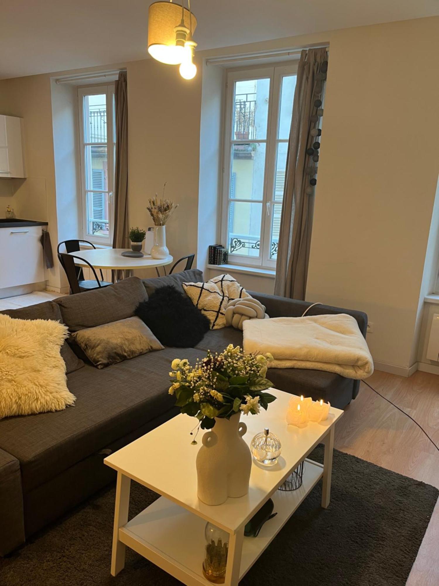 Joli Appartement Au Coeur De Страсбург Екстер'єр фото