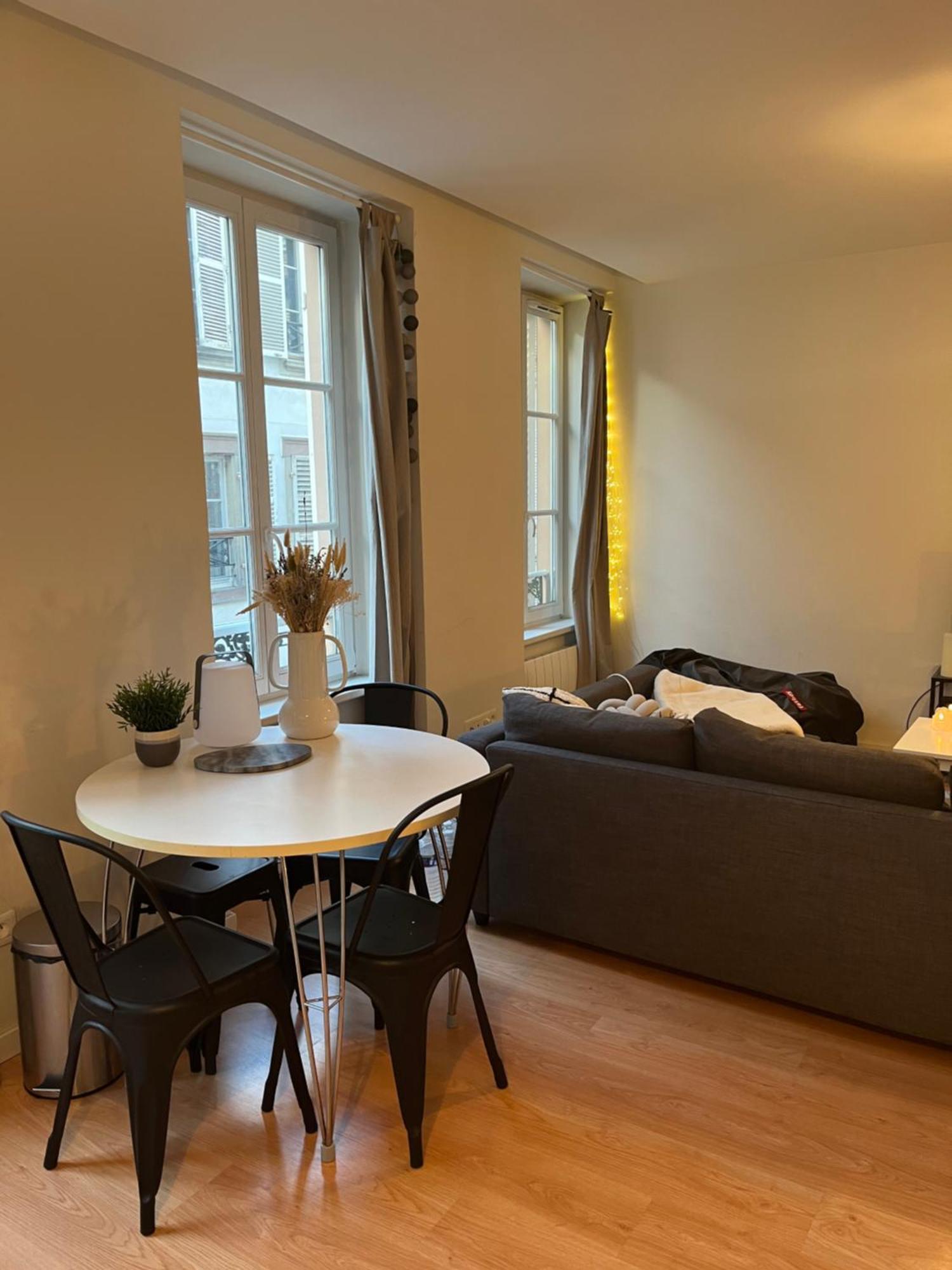 Joli Appartement Au Coeur De Страсбург Екстер'єр фото